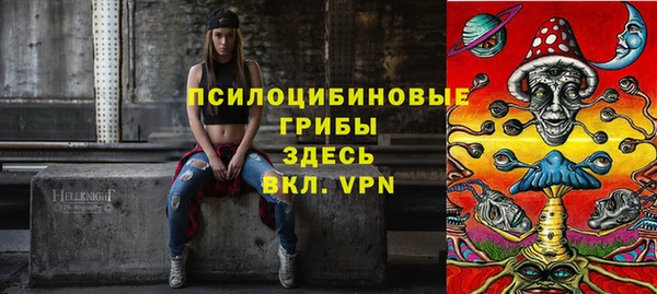 прущая мука Алзамай