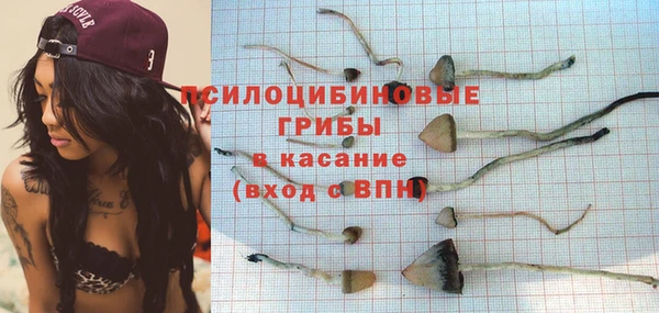 прущая мука Алзамай