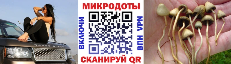 Галлюциногенные грибы GOLDEN TEACHER  мега вход  Спасск-Рязанский  цены наркотик 